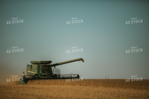 Combine Cutting Soybeans 4778