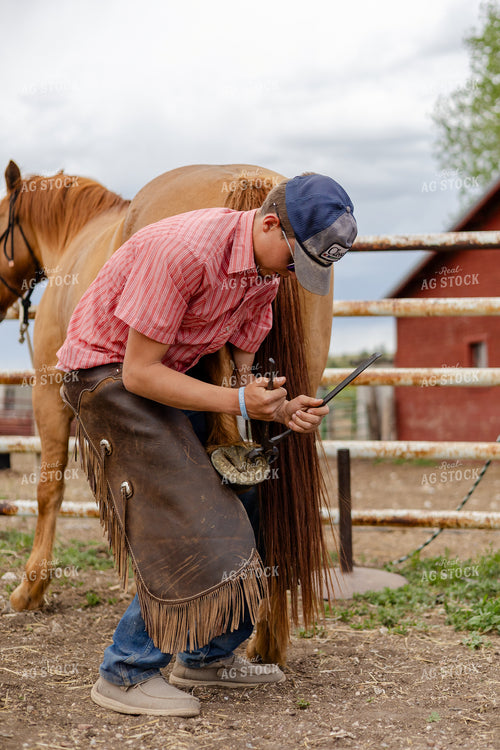 Young Farrier Trimming Horse Hoof 97202
