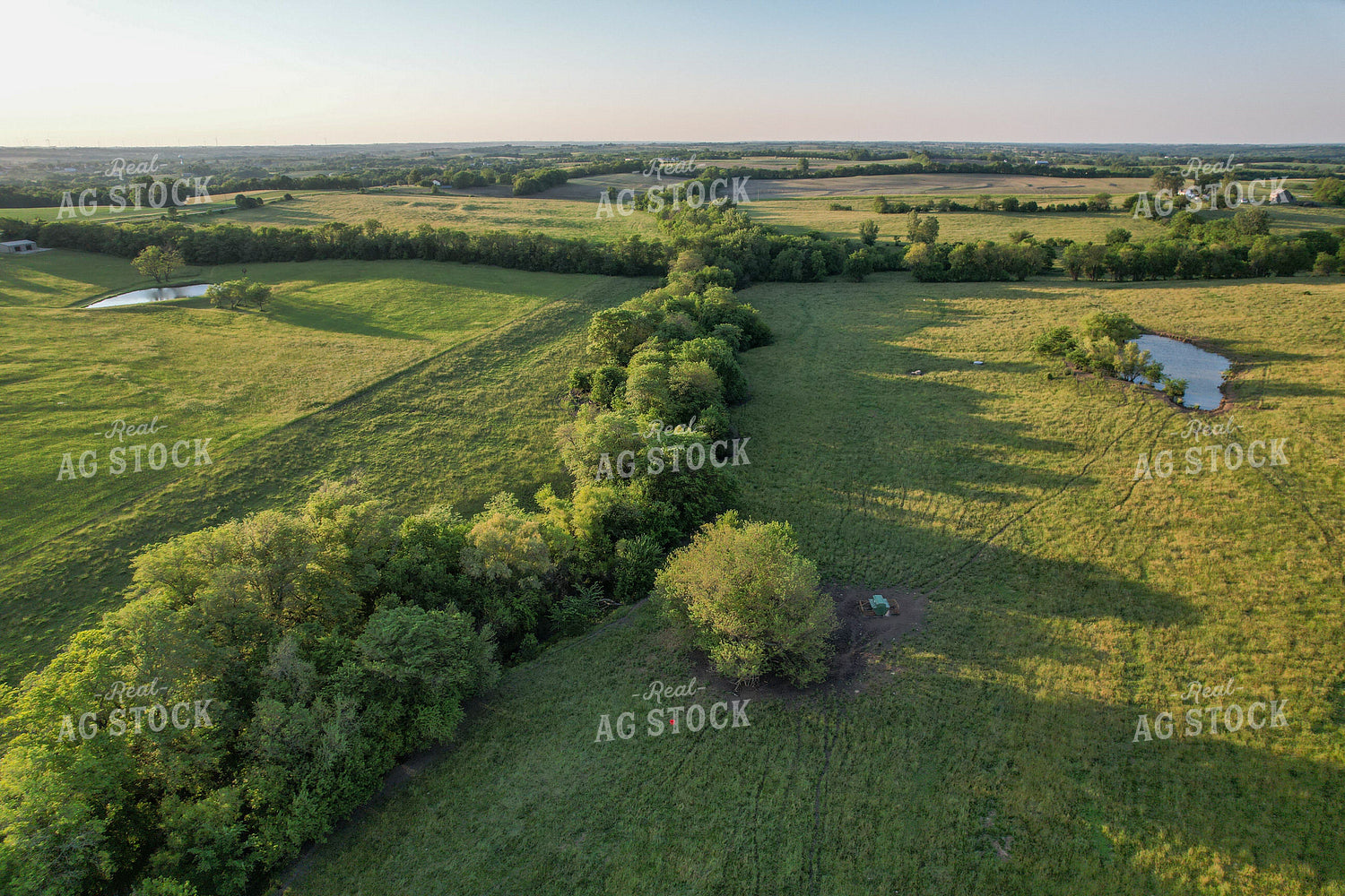 Aerial of Summer Pasture 261055