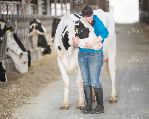 Farmer Hugging Holstein Cow 55129