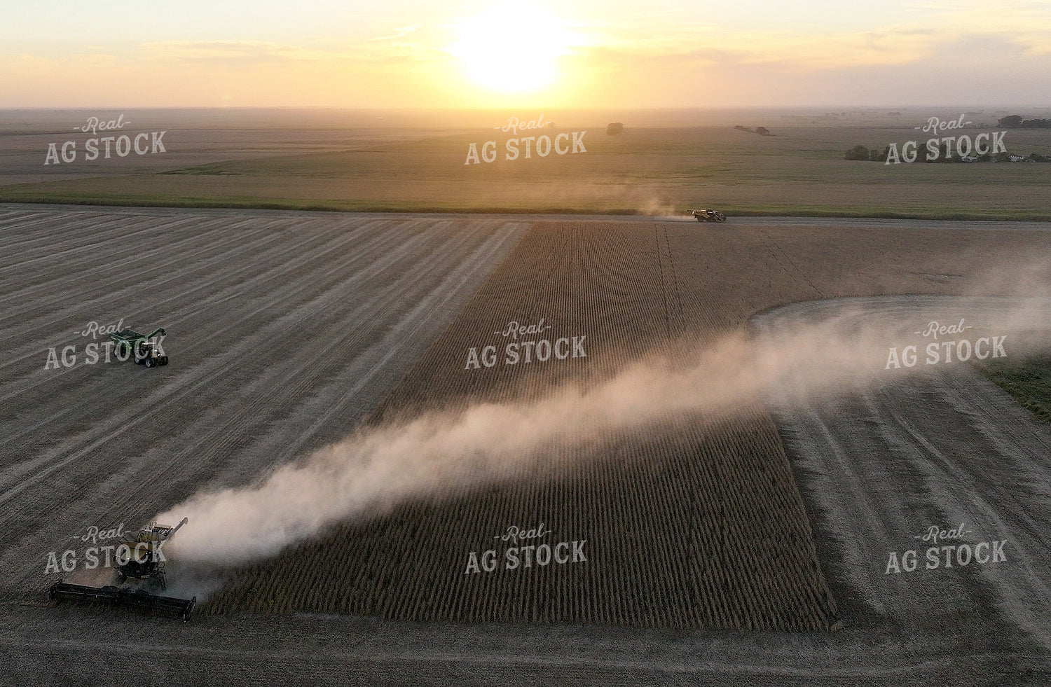 Soybean Harvest 141422