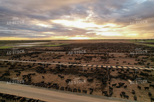 Aerial of Feedyard 261082