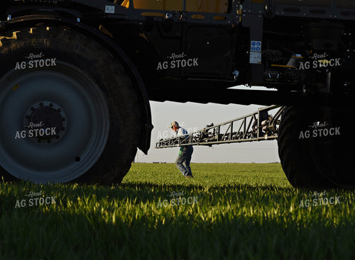 Farmer by Sprayer in Wheat Field 100019