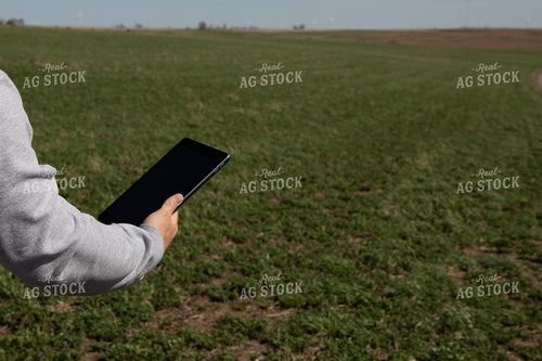 Farmer with iPad in Cover Crops 67207