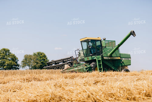 Wheat Harvest 178035