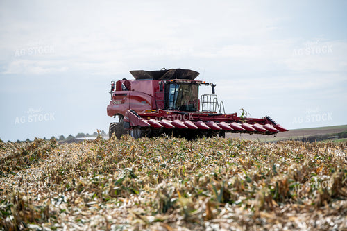 Combine In Harvested Field 193130