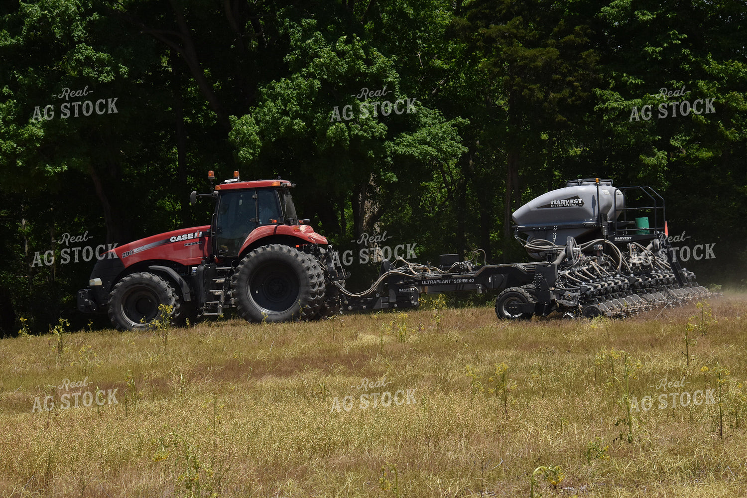 Planting 84076