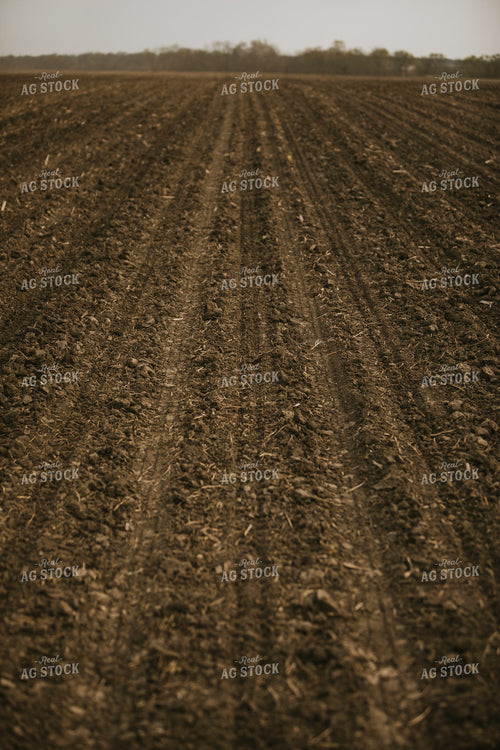 Just Planted Soil in Field 5469
