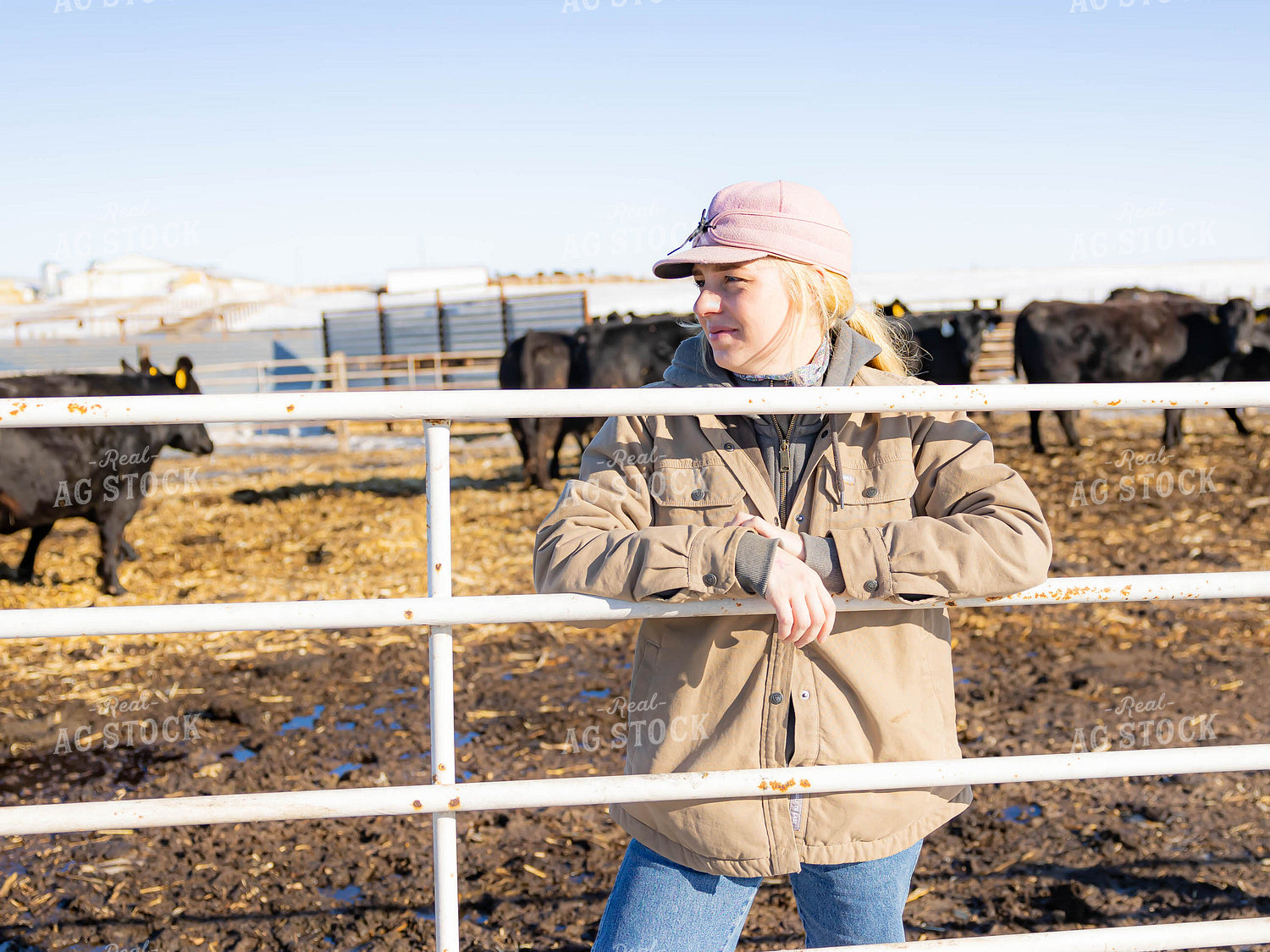 Rancher in Cattle Fence 70222
