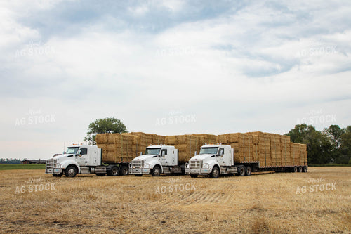 Moving Wheat Straw Bales 152590