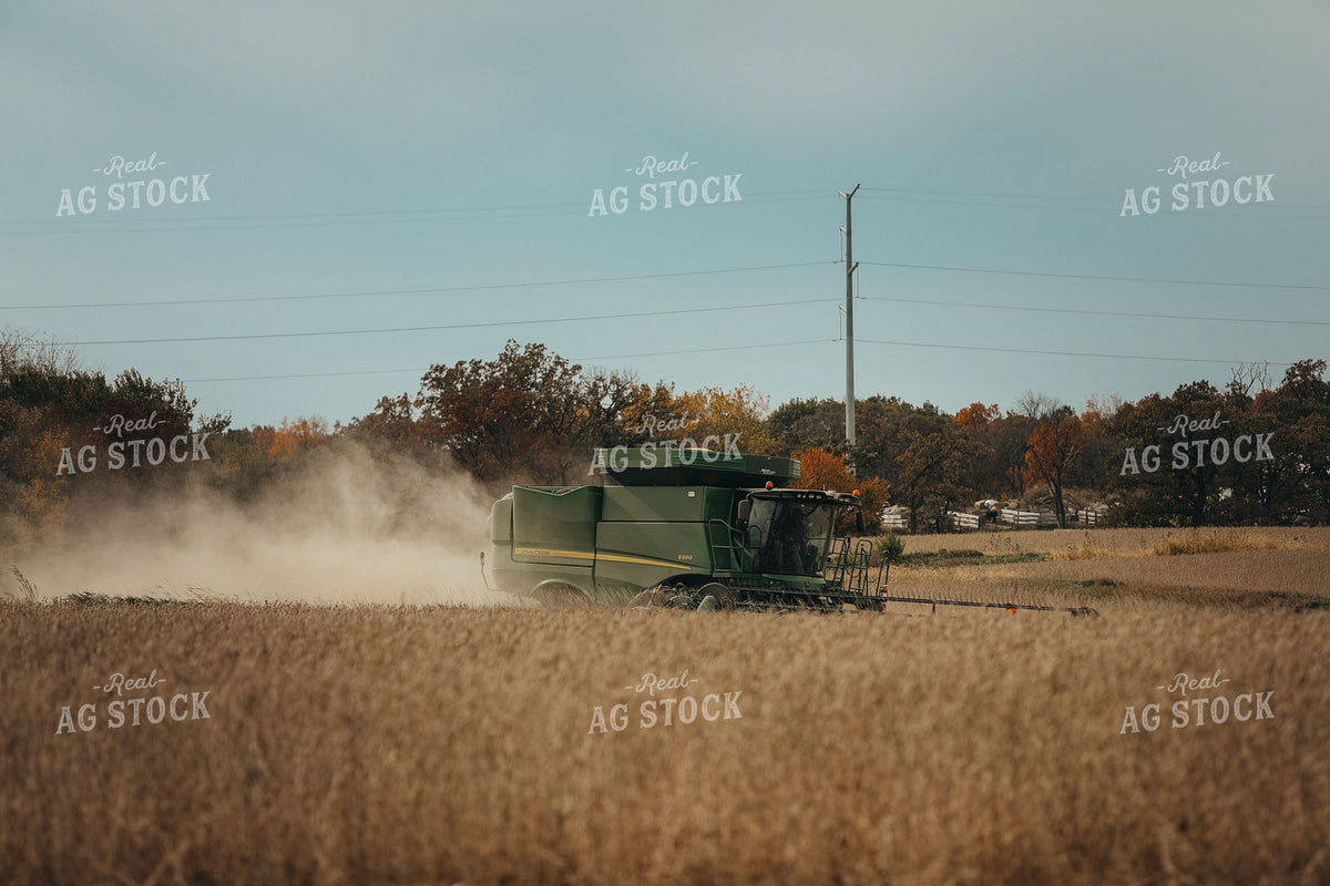John Deere Combine Harvesting Soybeans on a Dusty Fall Day 400044