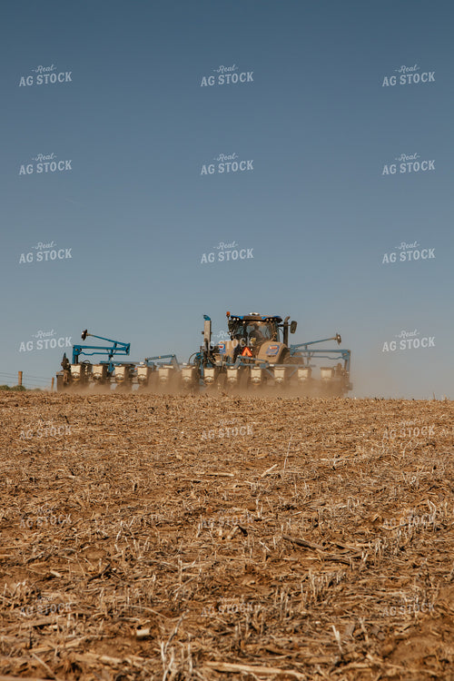 Planting 67552