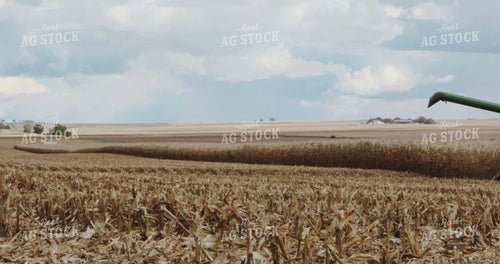 Combine Harvesting Corn with Truck Hauling Away in Background 3908