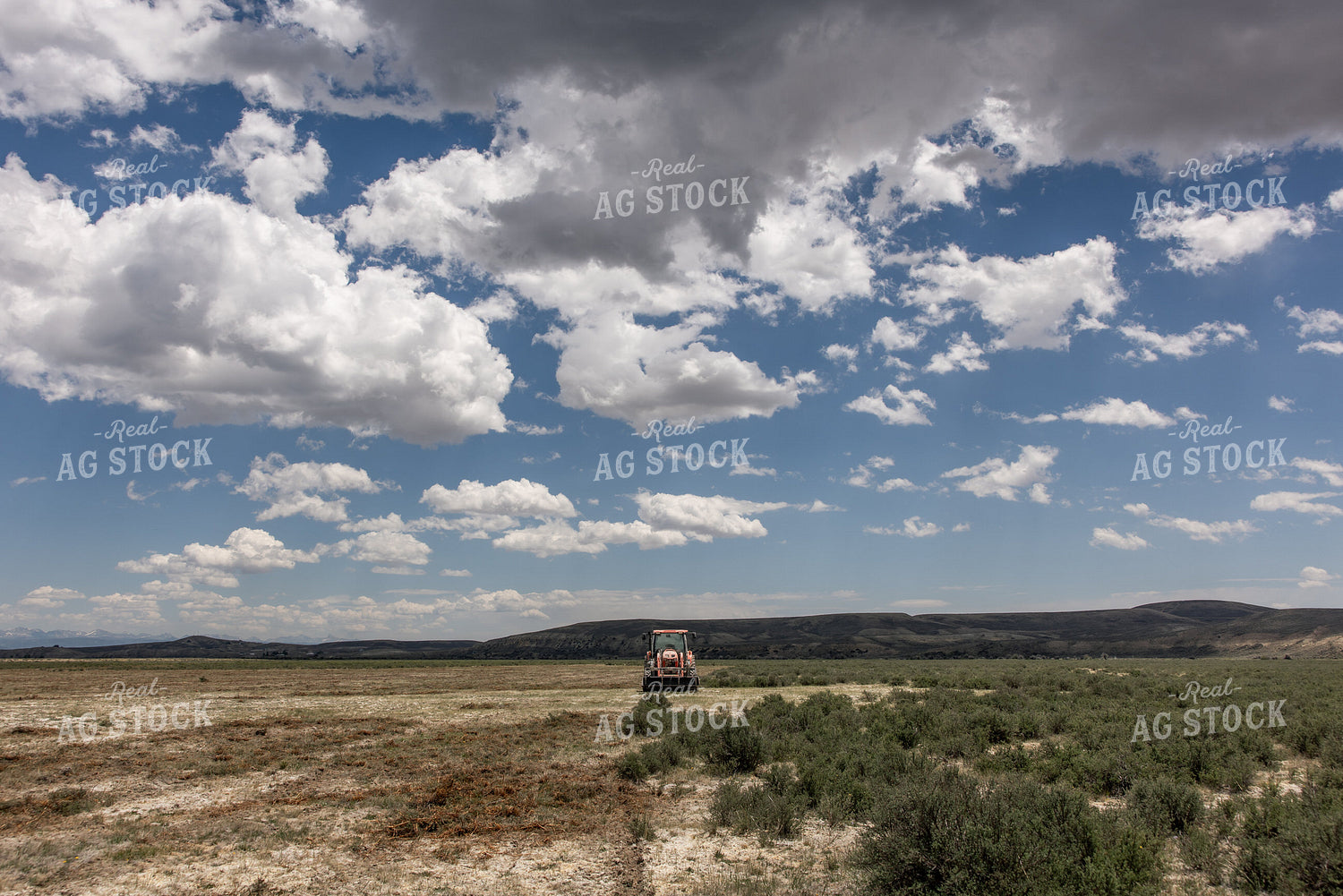 Clearing Brush 304110