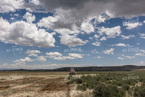 Clearing Brush 304110