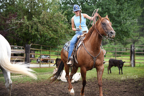 Sorting Cattle on Horseback 69007