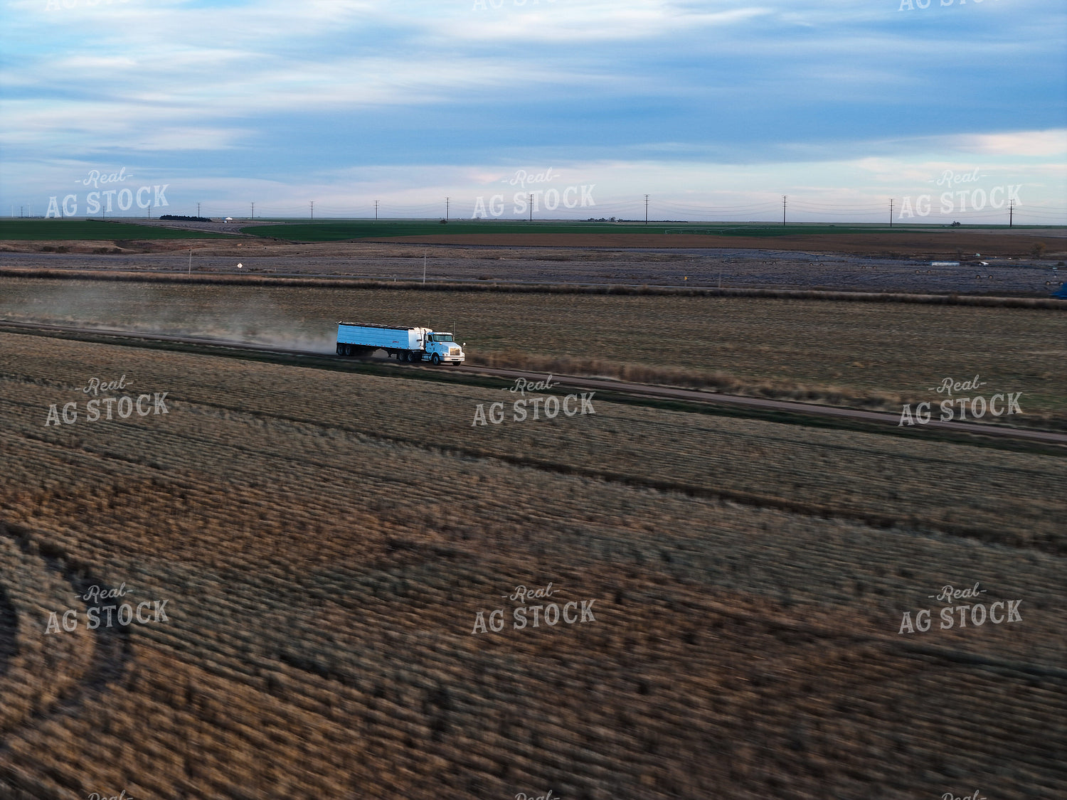 Semi Transporting Grain 239425