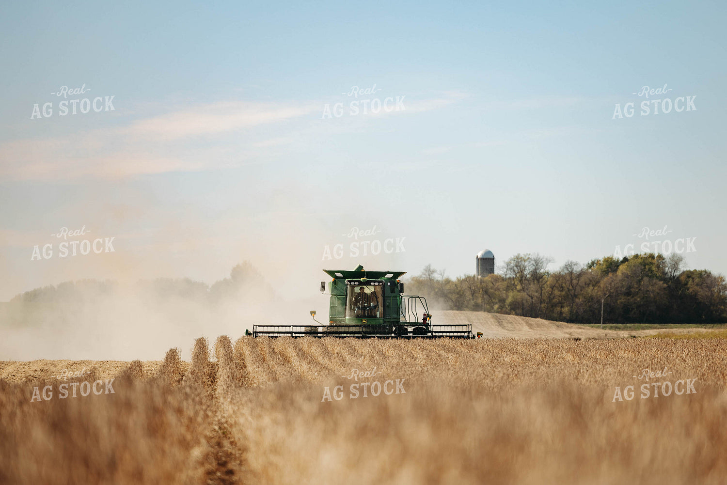 Harvesting Soybeans 152881