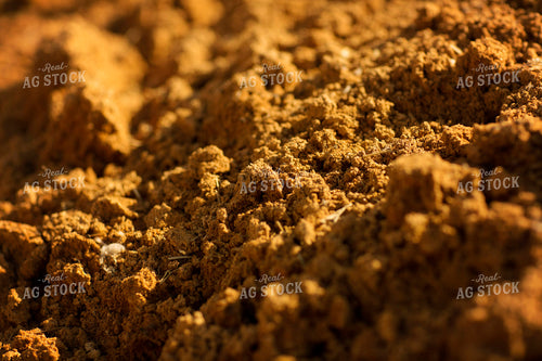 DDG Cattle Feed - Dried Distillers Grains 3843