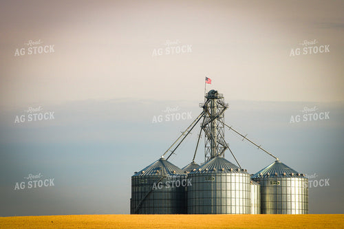 Grain Bins 214046
