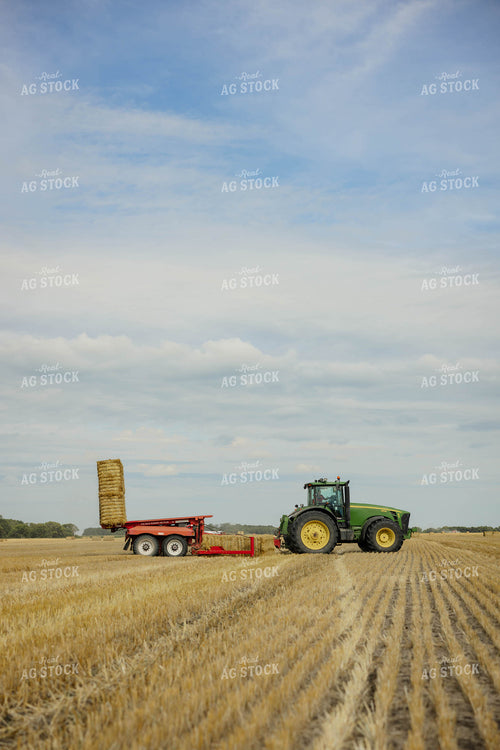 Loading Wheat Straw Bales 296064