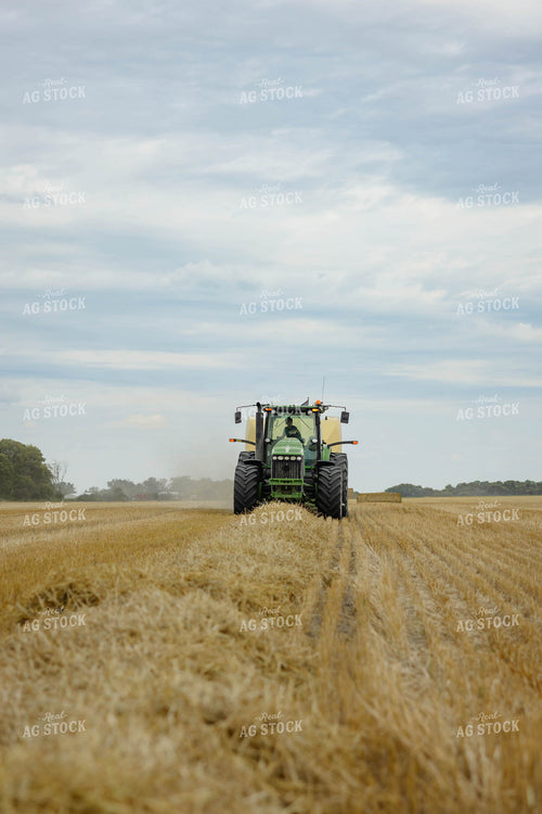 Baling Wheat Straw 296043