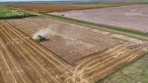 Wheat Harvest 239341