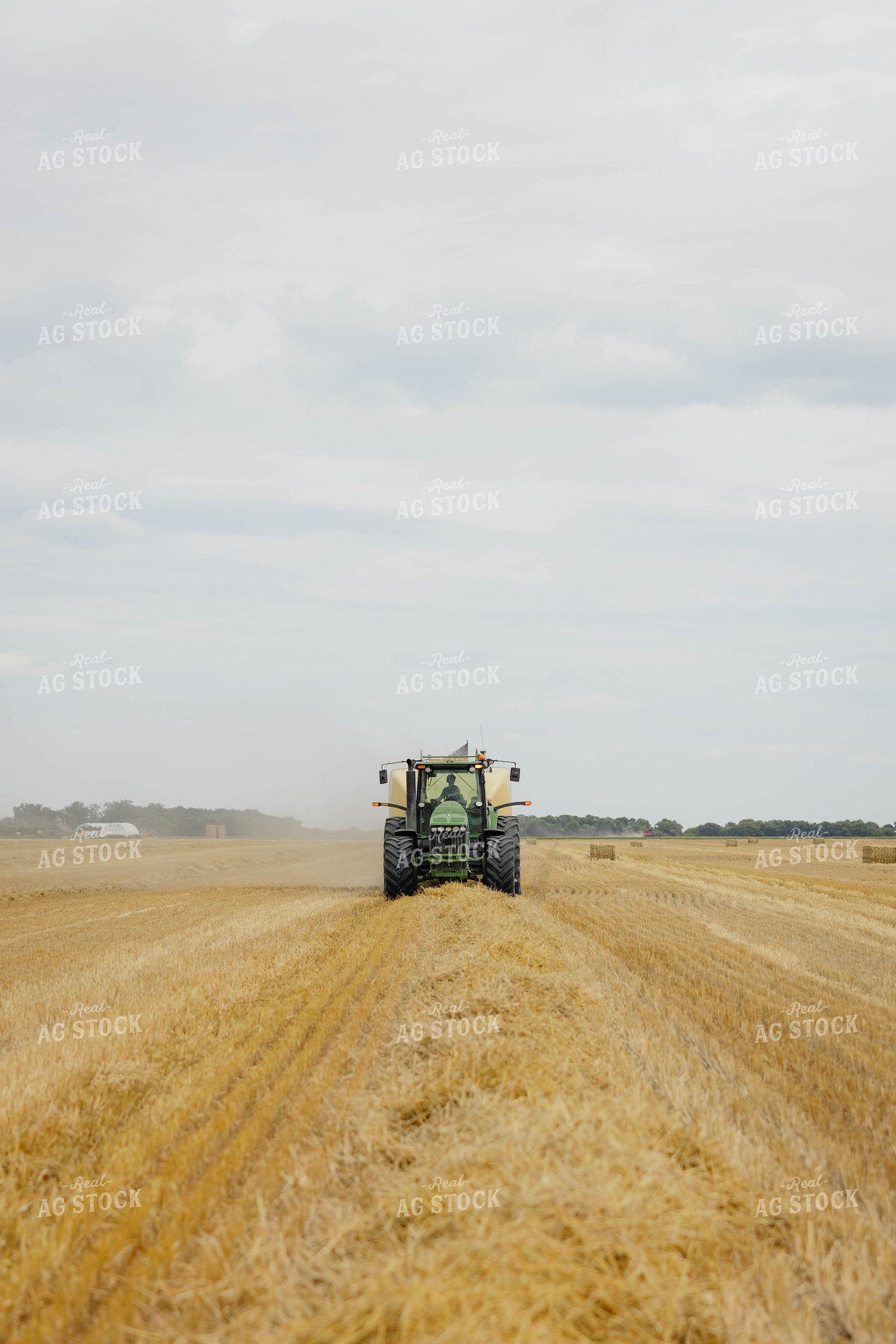 Baling Wheat Straw 296028