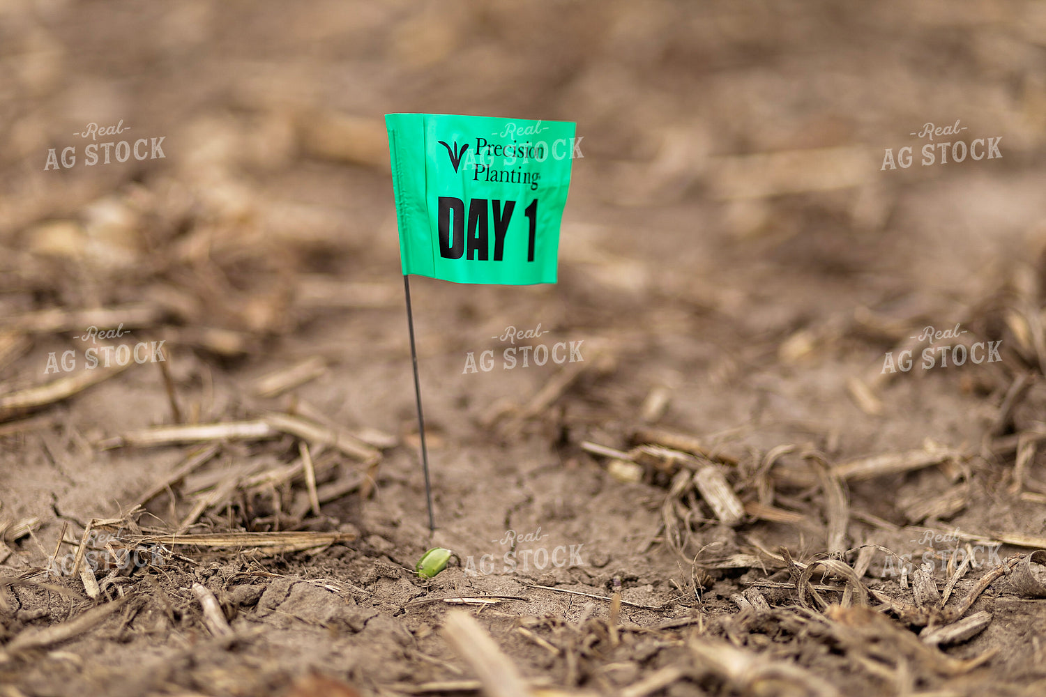Precision Planting Emergence Flags 93317