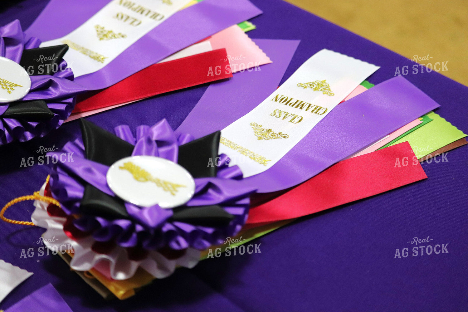 Show Ribbons 102054