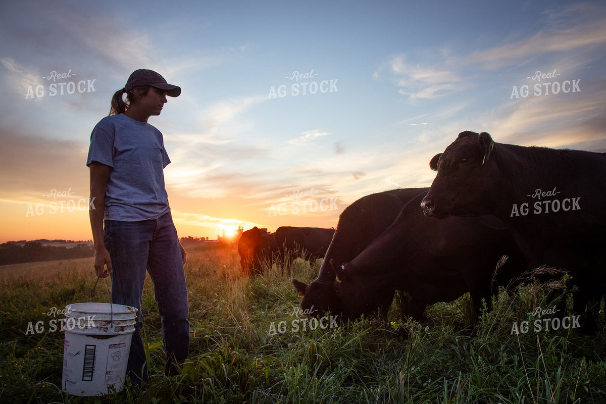 Checking Cattle on Pasture 268360