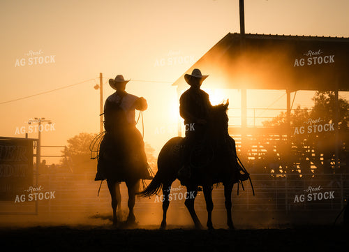 Rodeo 219134