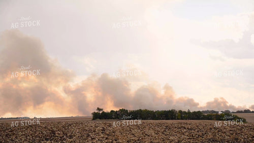 Field Fire Smoke - 553