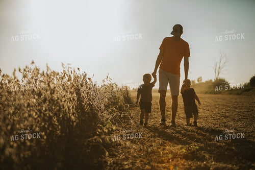 Farmer and Son Walking Along Half Harvested Soybean Field 4788