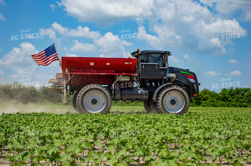 Spreading Dry Fertilizer in Cotton Field 136191