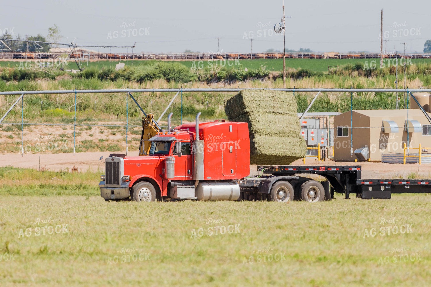 Loading Bales onto Semi 97048