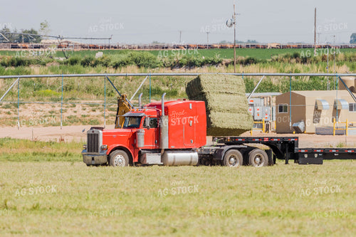 Loading Bales onto Semi 97048