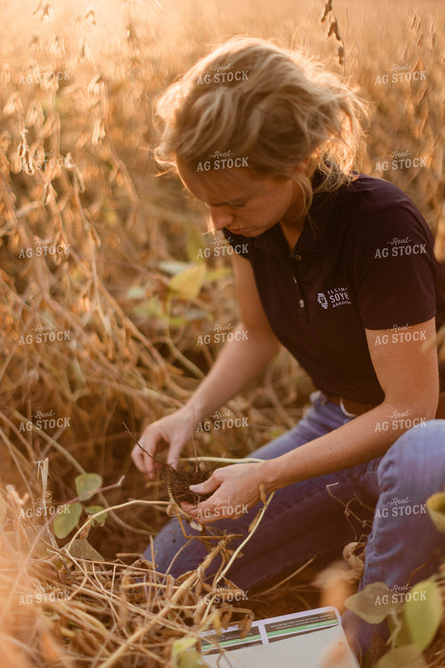 Female Agronomist Checking Beans 8316