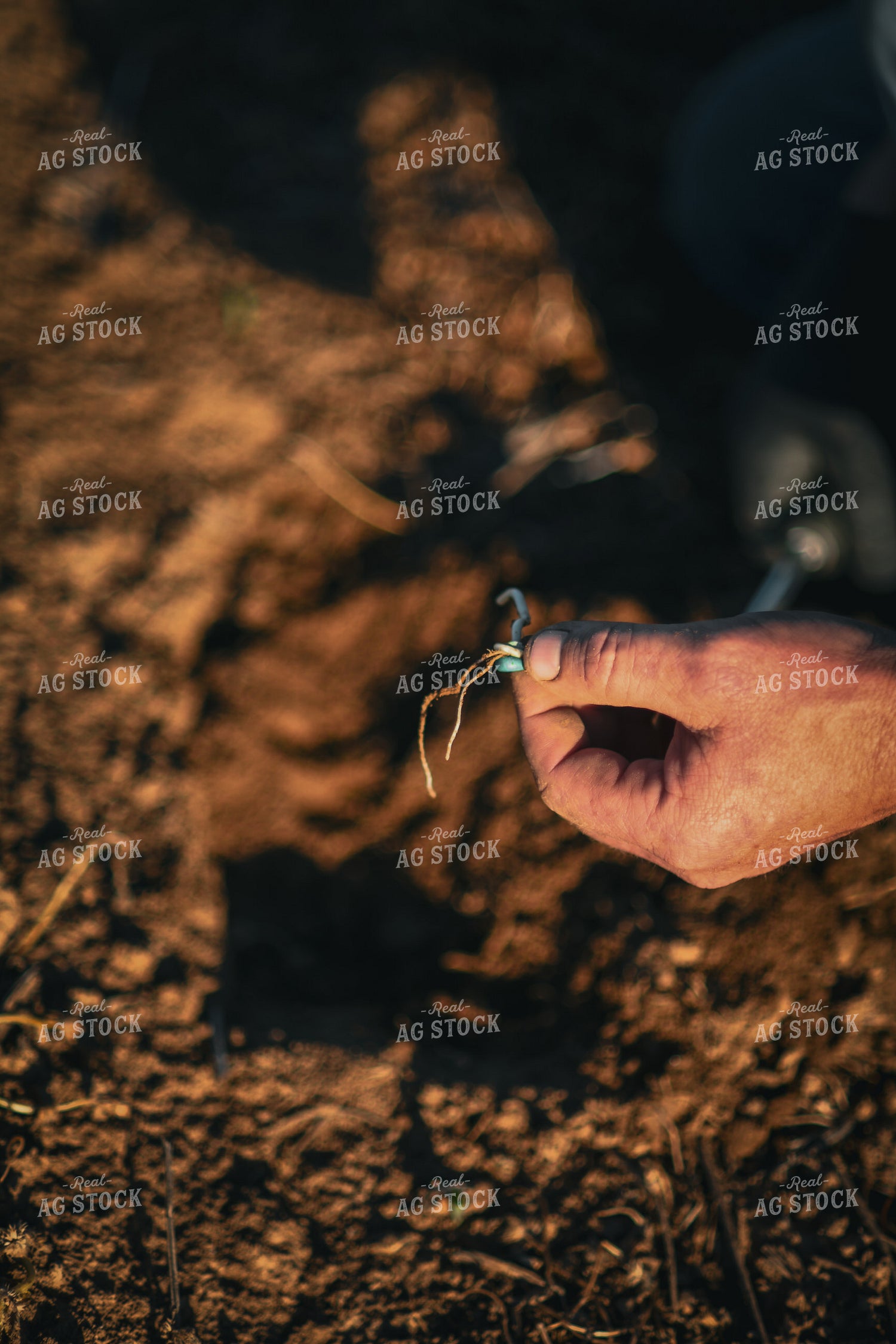 Scouting 191047