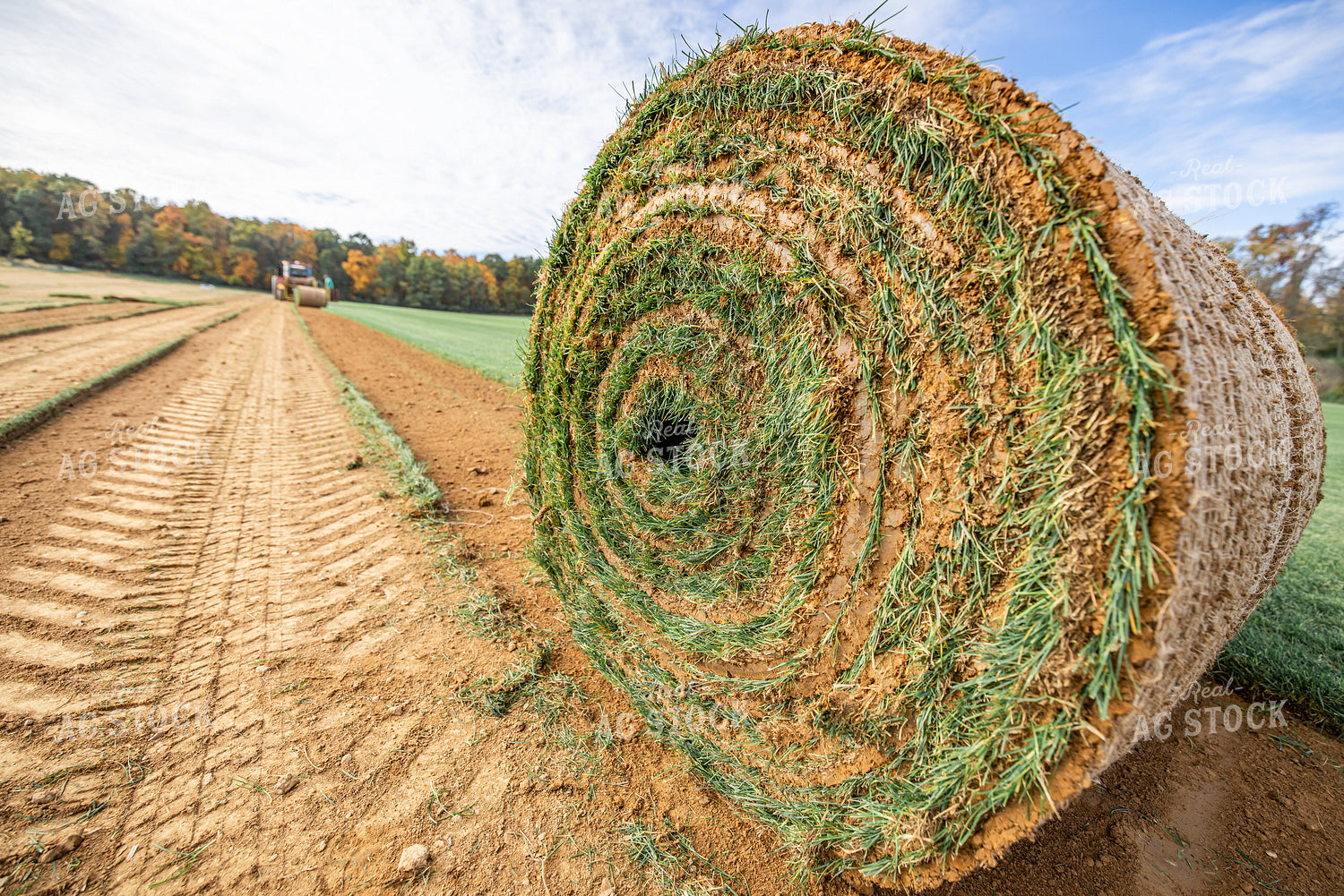 Harvesting Turf 270331