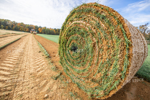 Harvesting Turf 270331
