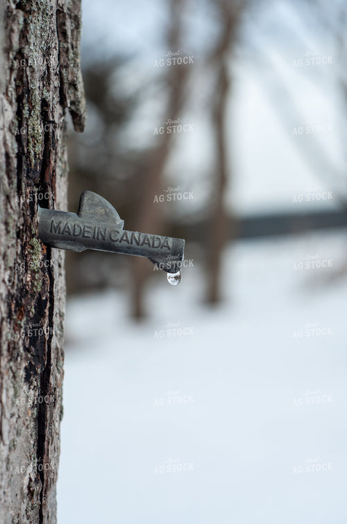 Canada Maple Syrup Tap 76010