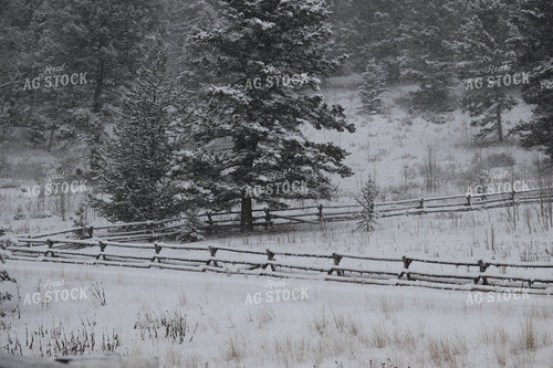 Snowy Fence 102049