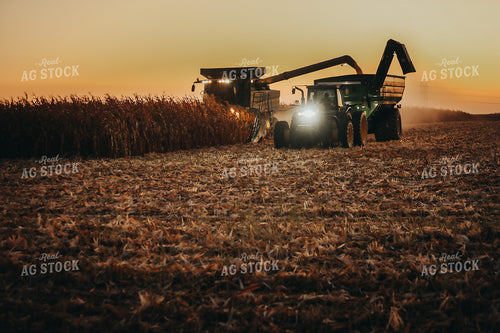 Combine and Auger Cart Harvesting Corn Field 5252