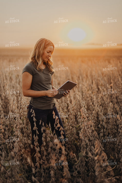 Female Agronomist Checking Soybeans 9261