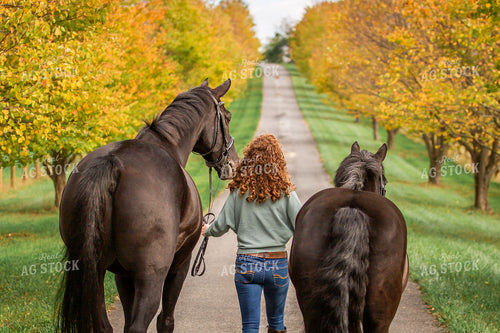 Female Equestrian with Horses 270390