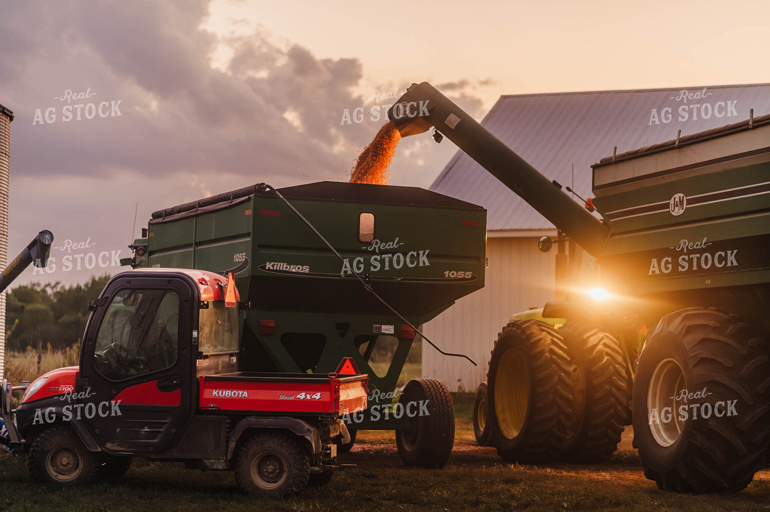 Corn Harvest 115110