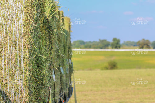 Round Bales on Trailer 160320