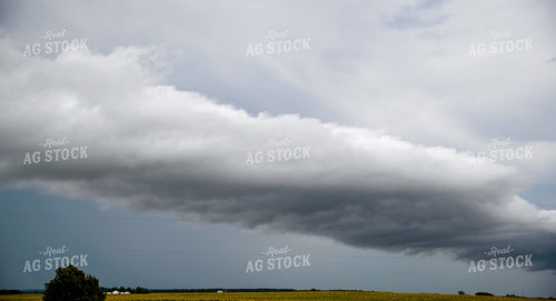 Storm Front 25302
