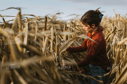 Female Farmer Checking Corn 8507